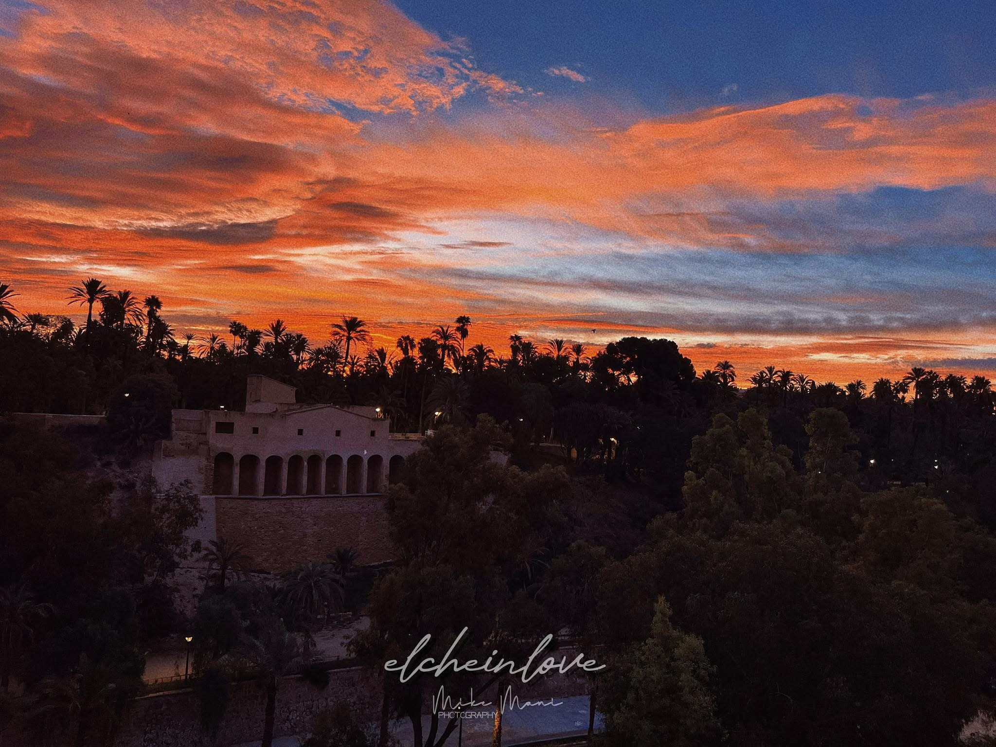 Palmeral de Elche Patrimonio de la Humanidad